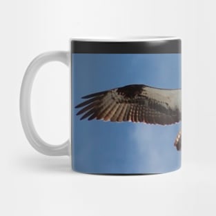 Osprey with a Fish Mug